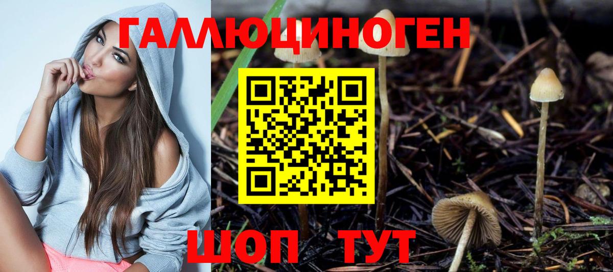 Псилоцибиновые грибы мухоморы  Вход с VPN  Калининград 